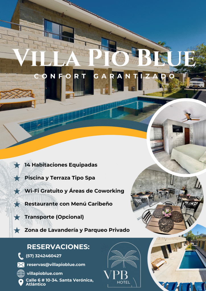 Flyer villa pio blue