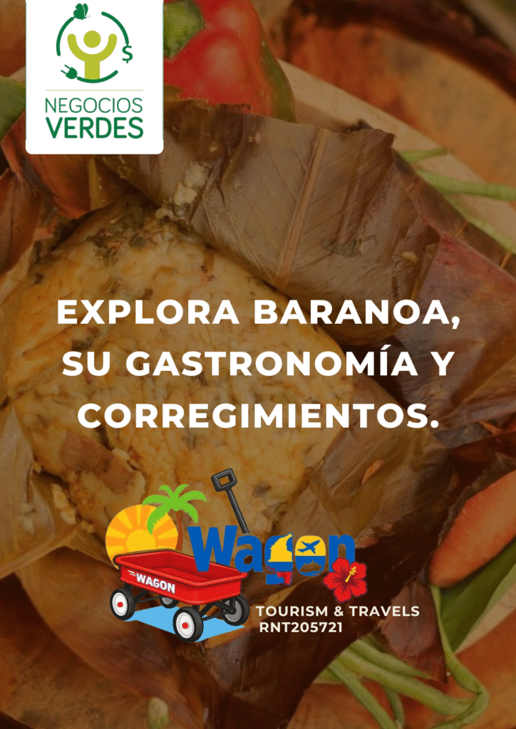 WAGON BRANOA Portafolio digital